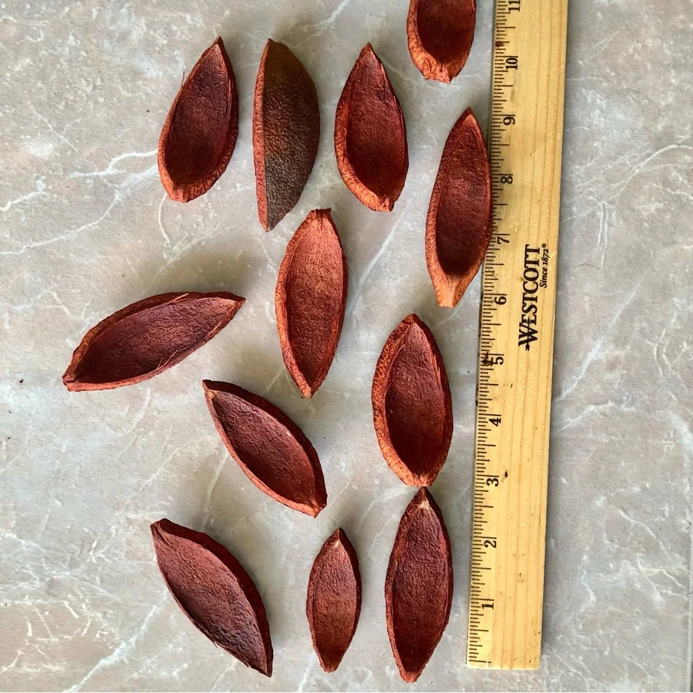 Burnt Orange Wooden Pieces 20 Set